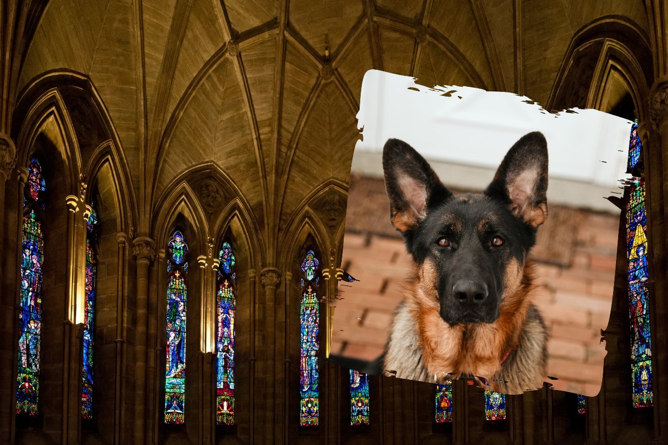 Kościół pogrzebowy dla zwierząt wzbudza kontrowersje