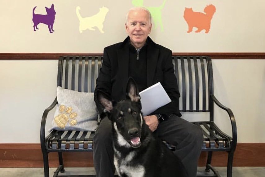 Major został adoptowany przez Joe Bidena ze schroniska