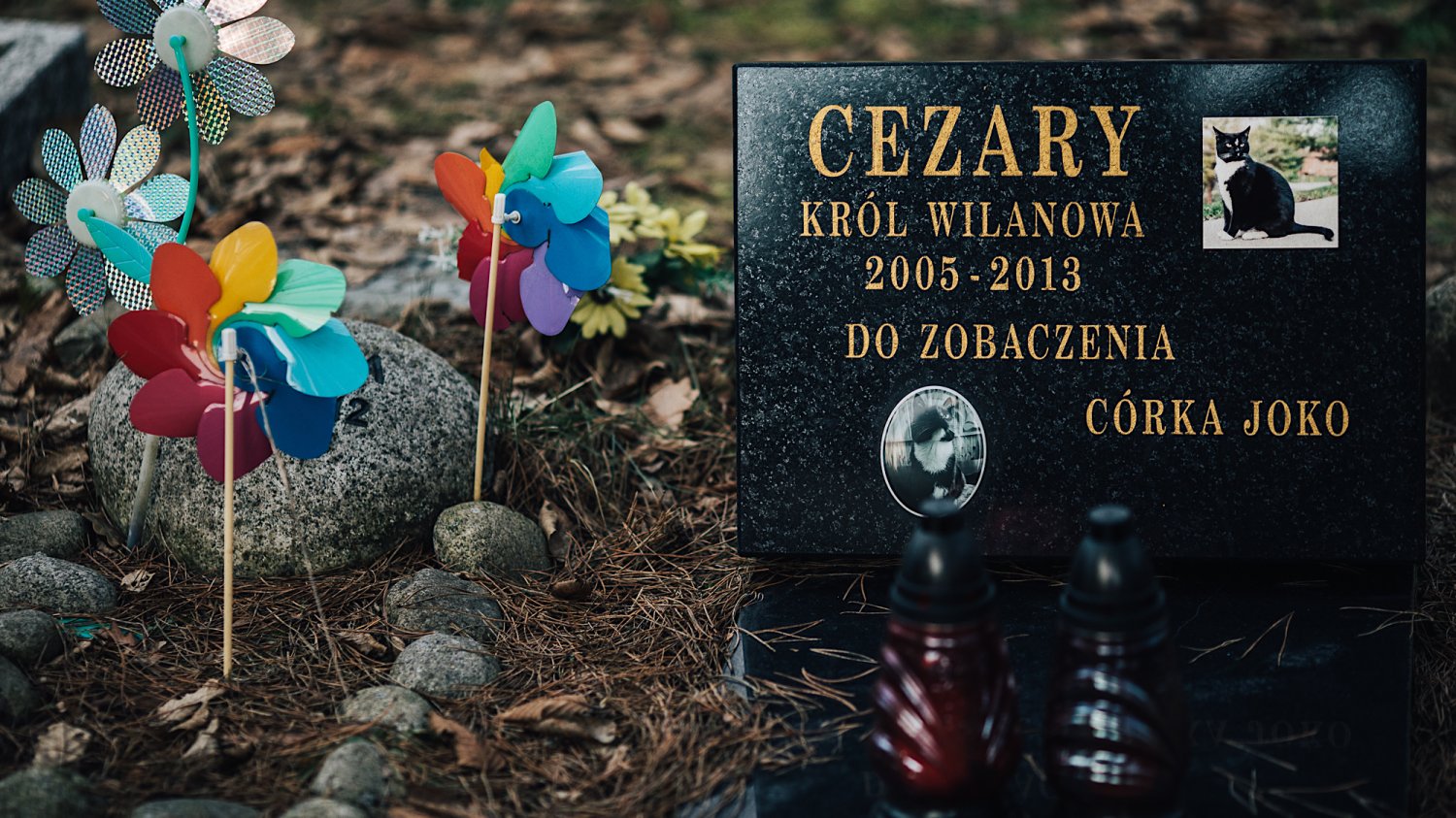 Cezary, król Wilanowa, z córką