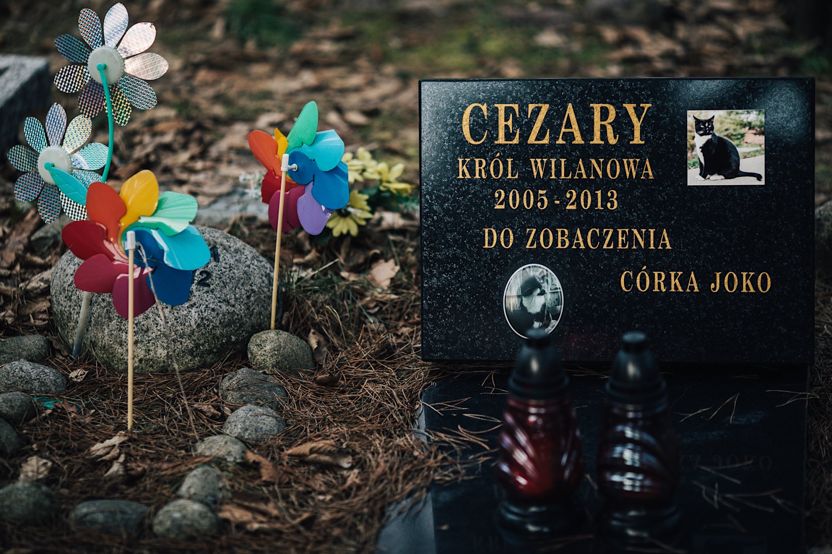 Cezary, król Wilanowa, z córką