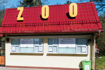 Golce w Gdańskim ZOO Kasy biltetowe w Gdańskim ZOO