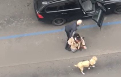 Czeski oddział Bolta zwolnił kierowcę, który wyrzucił siłą niewidomą z auta, bo nie chciał jechać z jej psem przewodnikiem.