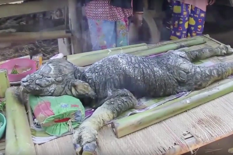 Hybryda bawoła i krokodyla przeraża. Miejscowi wierzą, że przyniesie im szczęście.