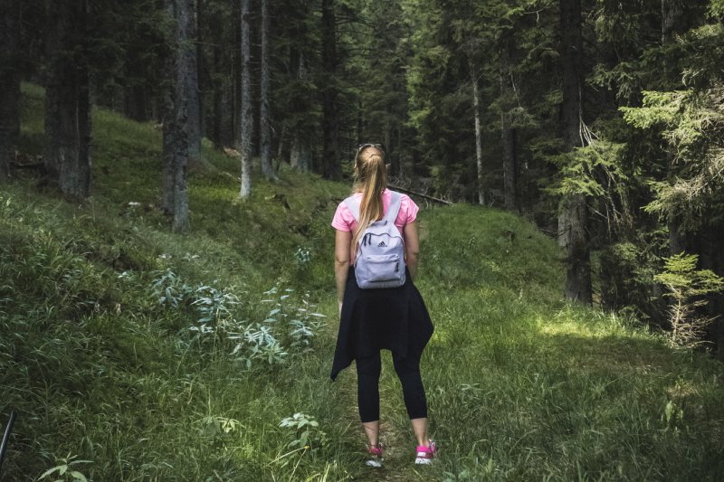 Oleica krówka może zabić człowieka? Lasy Państwowe alarmują przed owadem