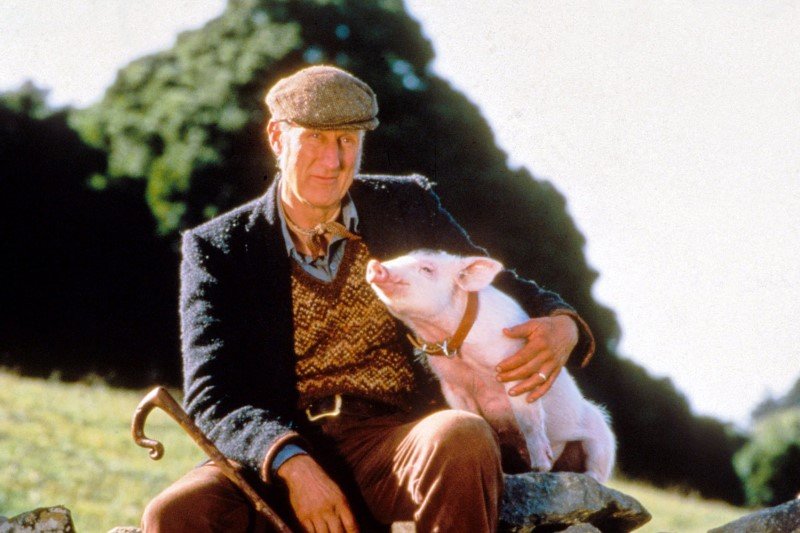 James Cromwell, filmowy farmer Hogget ze świnką Babe