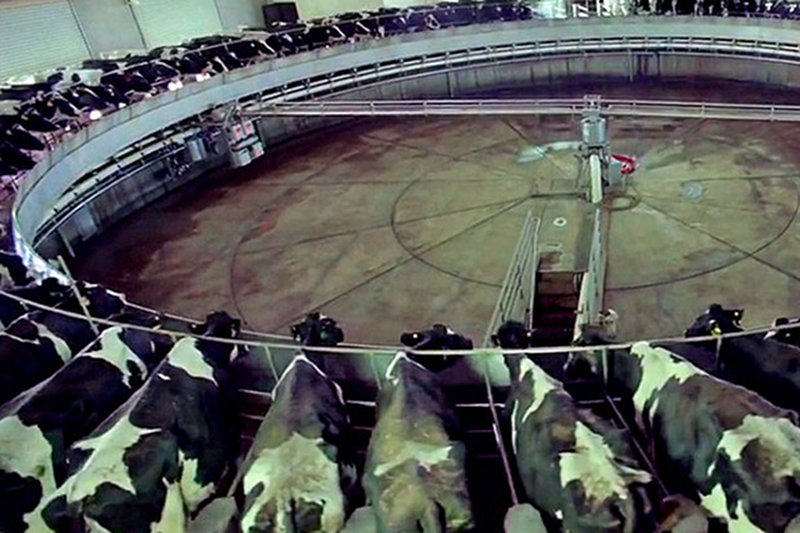 Produkcja żywności to prawdziwy przemysł.