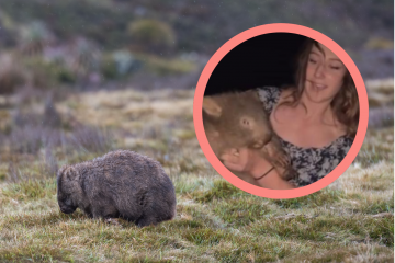 Skandaliczne zachowanie influencerki - zabrała dziecko wombatowi Influencerka zabrała dziecko wombatowi