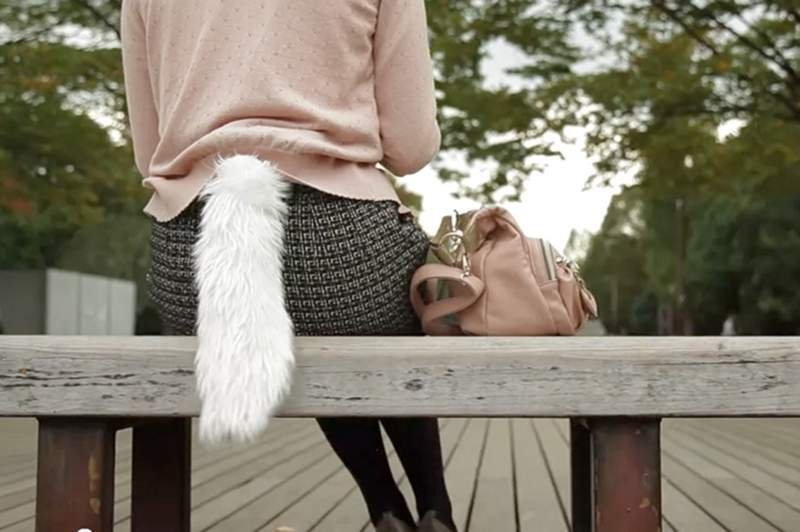 Z ogonem jej do twarzy