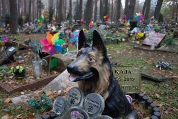 Polacy przywiązują coraz większą wagę do pochówków swoich zwierząt