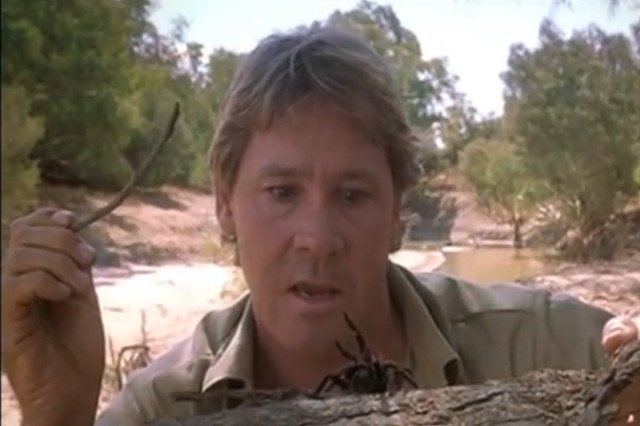 Steve Irwin, słynny "Łowca krokodyli", zmarł 4 września 2006 roku