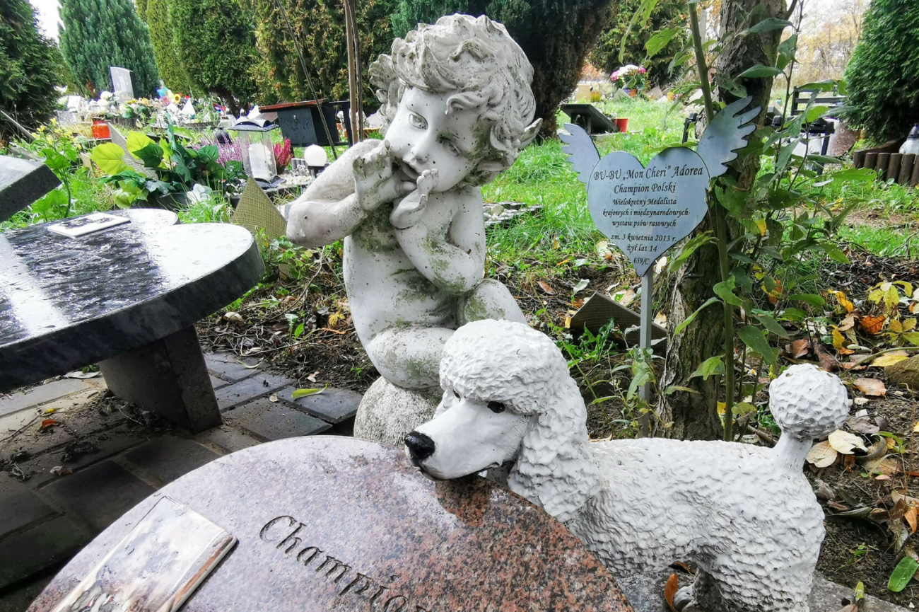Kontrowersje wokół cmentarza dla zwierząt w Gliwicach Cmentarz dla zwierząt przy ulicy Malowniczej, Łódź, grób psa Bubu Mon Cheri
