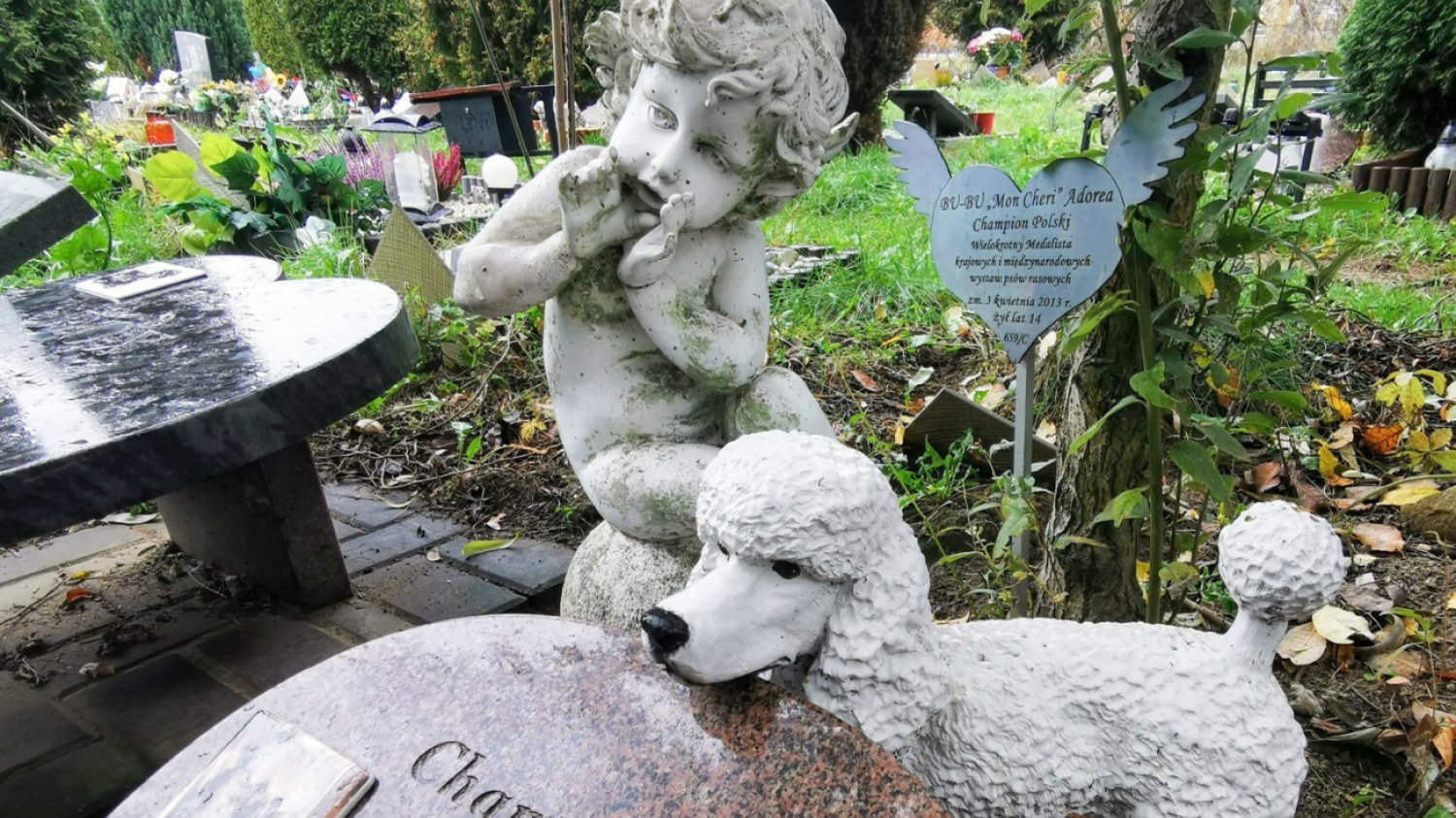 Kontrowersje wokół cmentarza dla zwierząt w Gliwicach Cmentarz dla zwierząt przy ulicy Malowniczej, Łódź, grób psa Bubu Mon Cheri