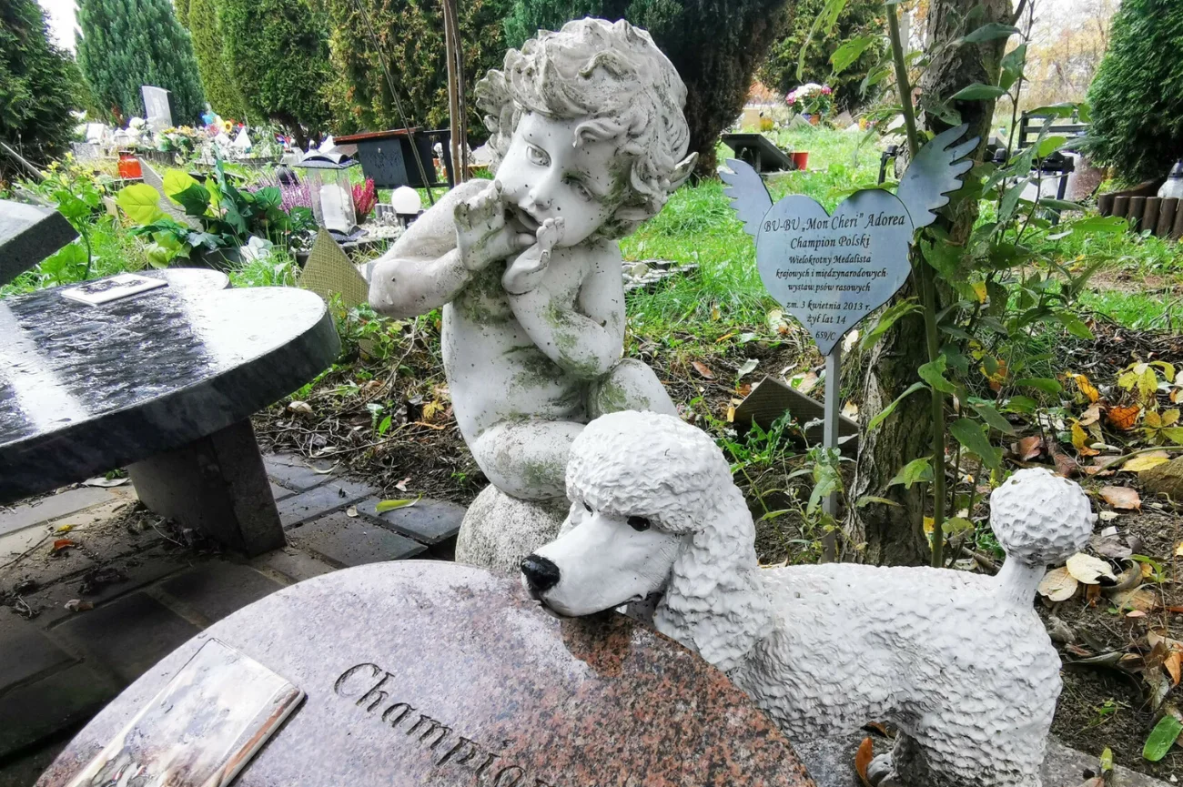 Cmentarz dla zwierząt przy ulicy Malowniczej, Łódź, grób psa Bubu Mon Cheri