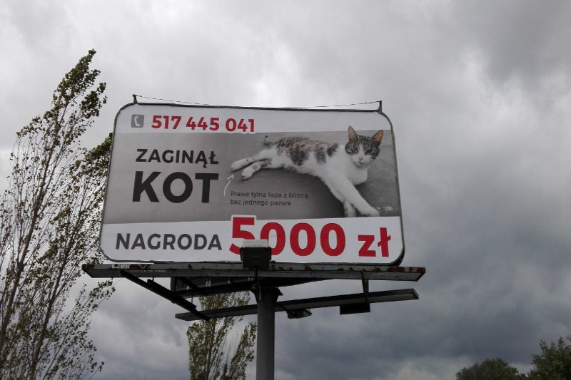 Billboard z nietypowym ogłoszeniem.