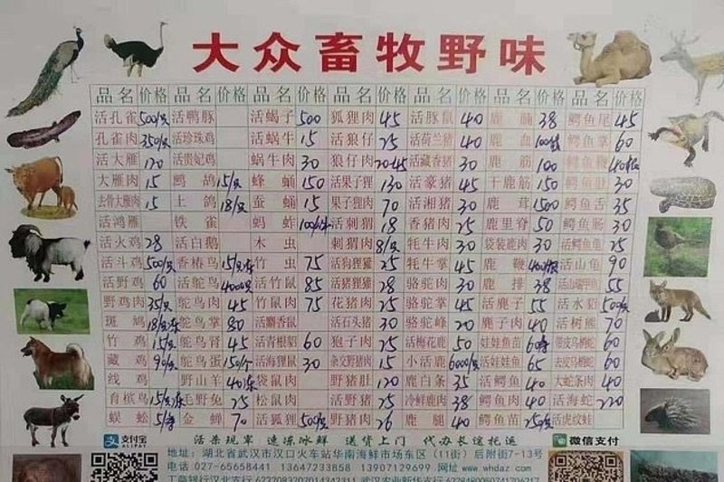 Na rynku w Wuhan można kupić dzikie zwierzęta.