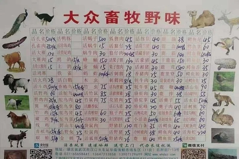 Na rynku w Wuhan można kupić dzikie zwierzęta.