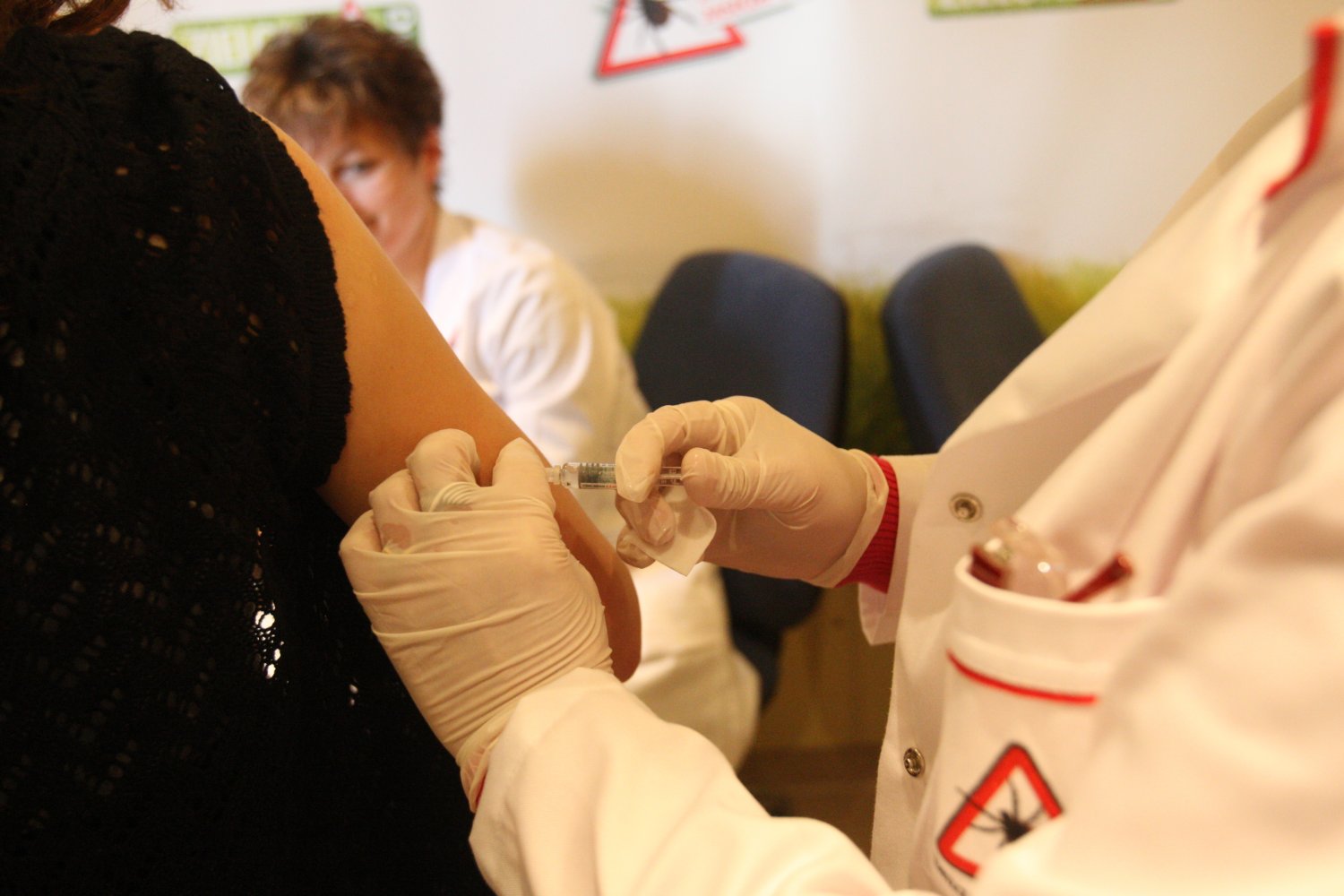 Kleszcze pogryzły 8-latka