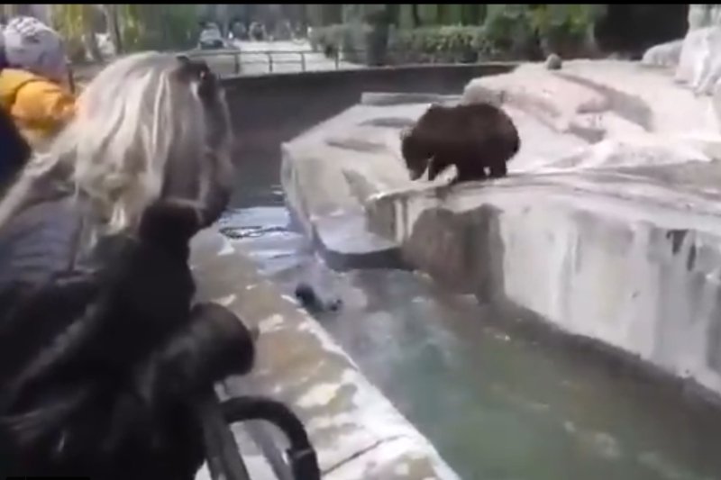 Zaatakowanej niedźwiedzicy nic się nie stało.