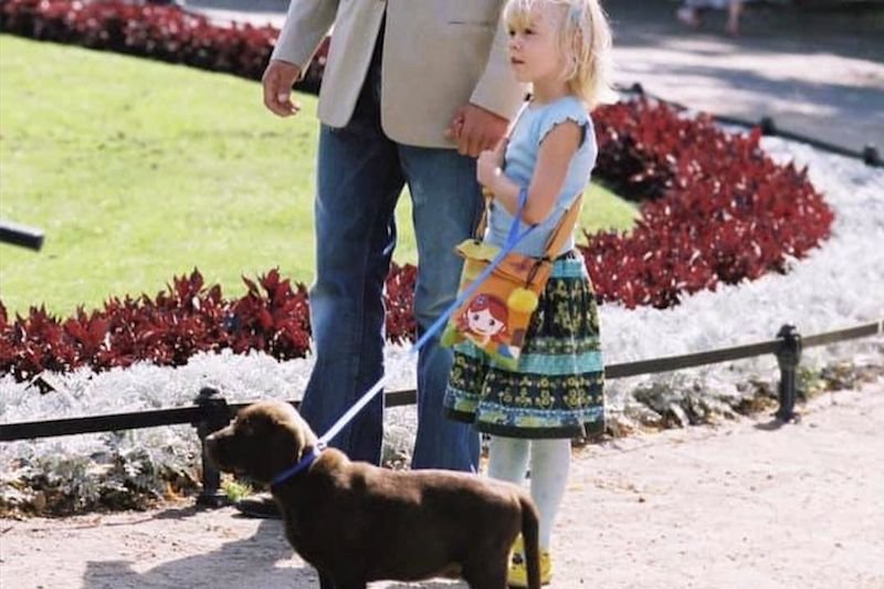 Jeden z psów z filmu "Tylko mnie kochaj". Maciej Zakościelny i Julia Wróblewska zaapelowali o pomoc dla zwierzaków z kultowej komedii.