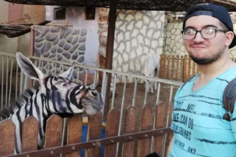Zoo w Kairze zapewnia, że jego "zebra" to nie osioł.