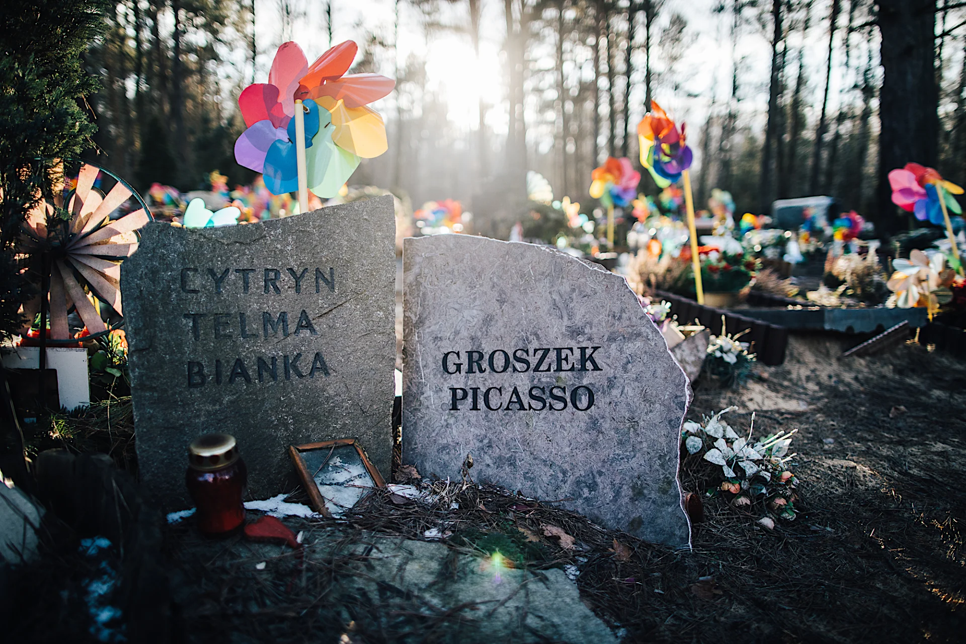 Wiatraczki to najpopularniejsza ozdoba nagrobków na cmentarzach dla zwierząt