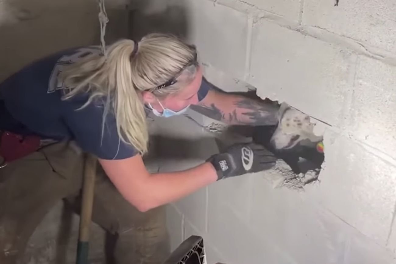 Strażacy z Cincinnati uratowali psa.