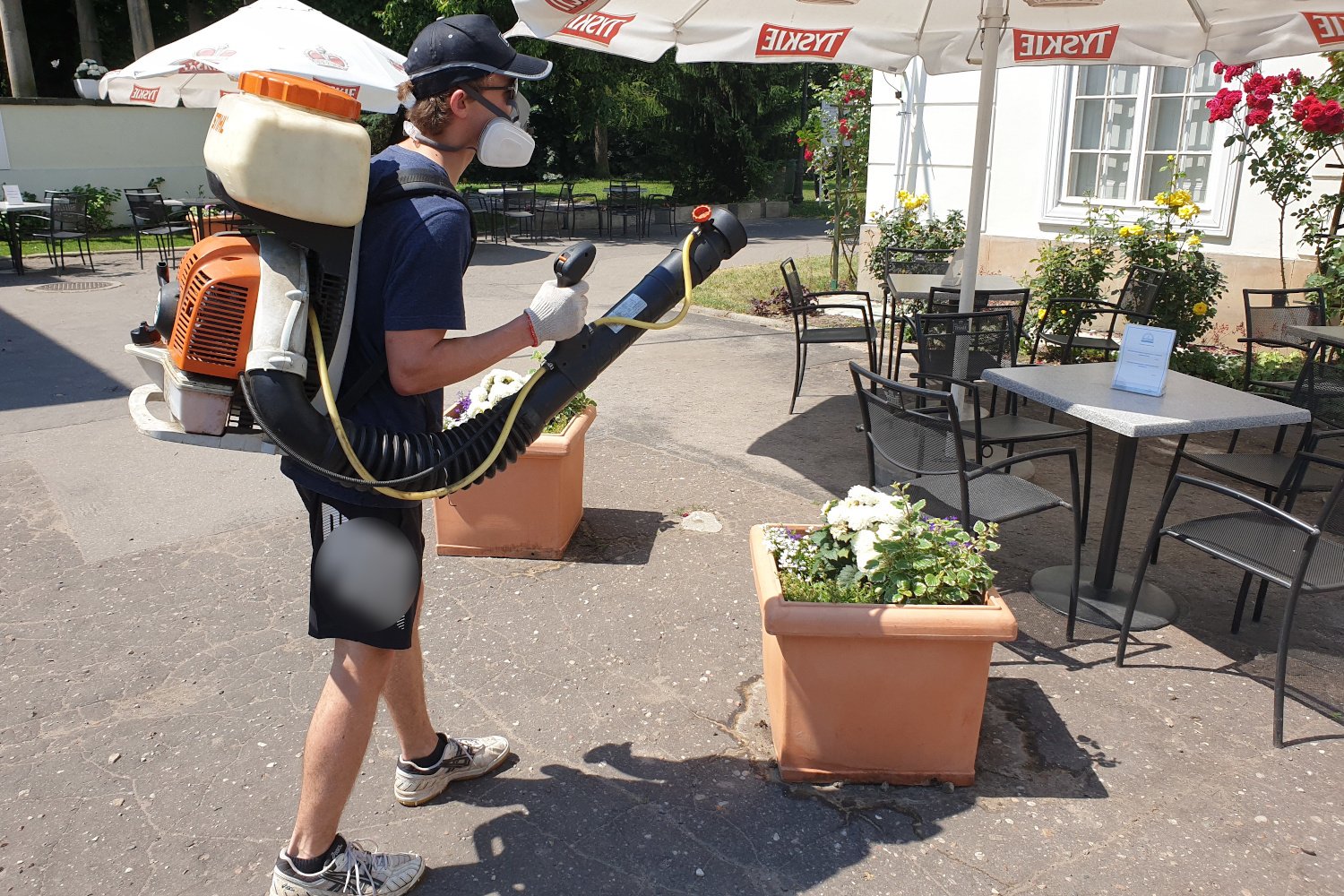 Pan Karol zajmuje się odkomarzaniem. Na brak pracy nie może teraz narzekać.