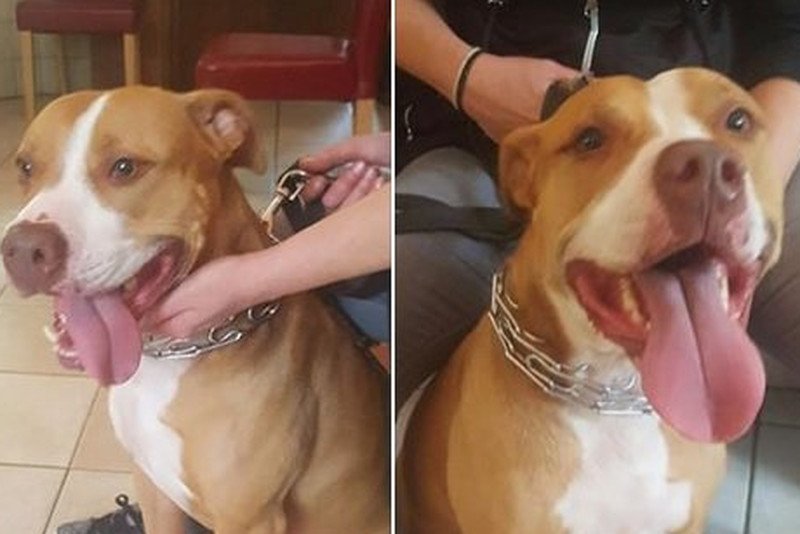 Sonia ma 6 lat. Jest zdrowa i radosna.