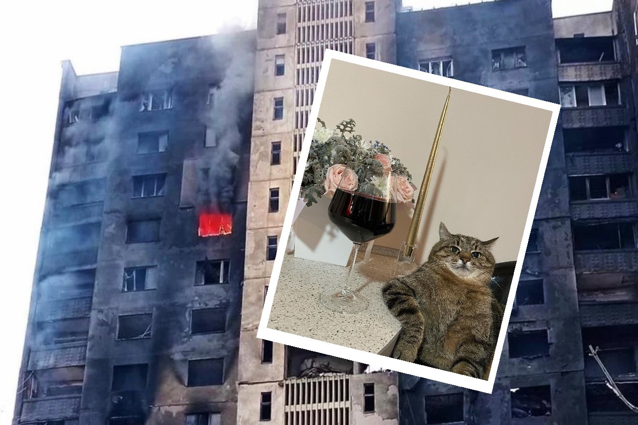 Kot Stepan znany z memów i TikToka musiał uciekać z Ukrainy. Jego dom zbombardowano