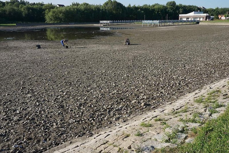 Tak 6 sierpnia wyglądał zalew Witoszówka II w Świdnicy, popularny teren rekreacyjny. Zdjęcia zamieściła n FB prezydenta miasta Beata Moskal-Słaniewska.