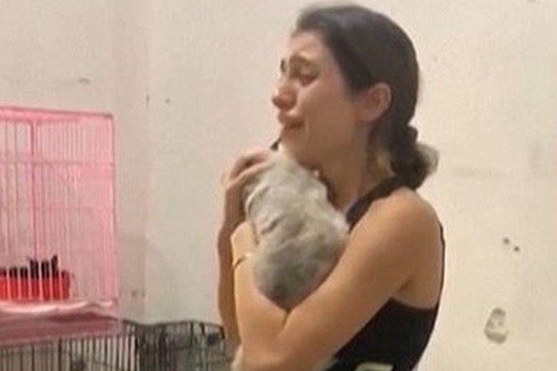 Eksplozja w stolicy Libanu, Bejrucie. Zagubione zwierzęta wracają do swoich właścicieli.