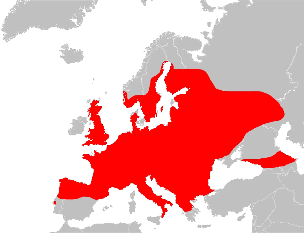 Padalec — mapa występowania w Europie Padalec — mapa występowania w Europie