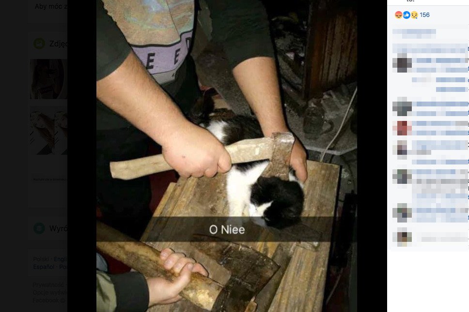Trzymali kota nad ogniskiem, przykładali mu siekierę do szyi. W internecie krążą nagrania okrutnych "wyczynów".