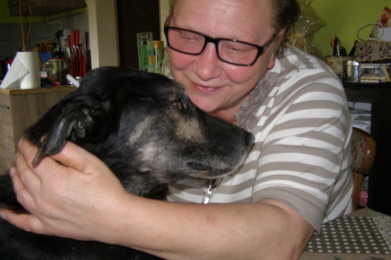 Staruszkowo to psie hospicjum dla starych i schorowanych czworonogów.