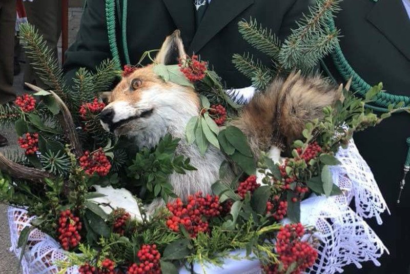 Jeden z myśliwych podczas pielgrzymki do Sanktuarium Matki Bożej Tuchowskiej miał przy sobie koszyk z... martwym lisem.