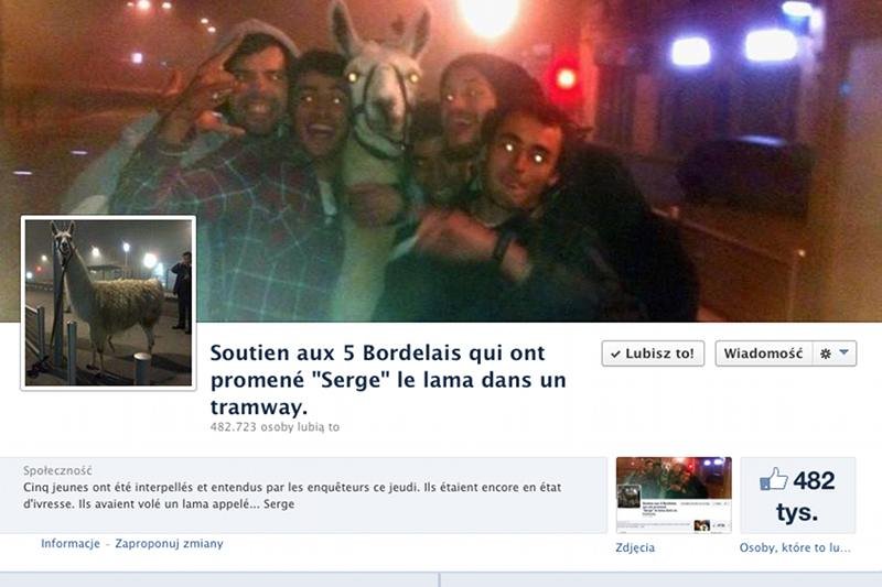 Fanpage poświęcony porwaniu lamy przez pięciu młodych mieszkańców Bordeaux.