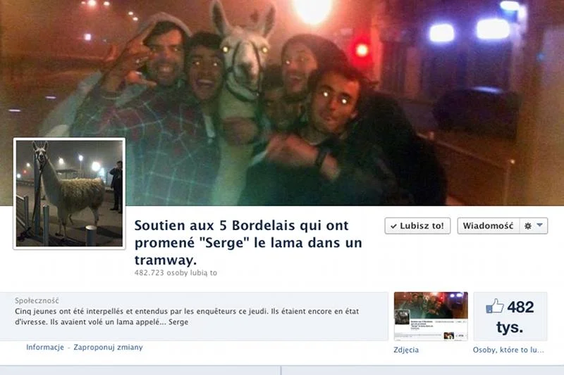 Fanpage poświęcony porwaniu lamy przez pięciu młodych mieszkańców Bordeaux.
