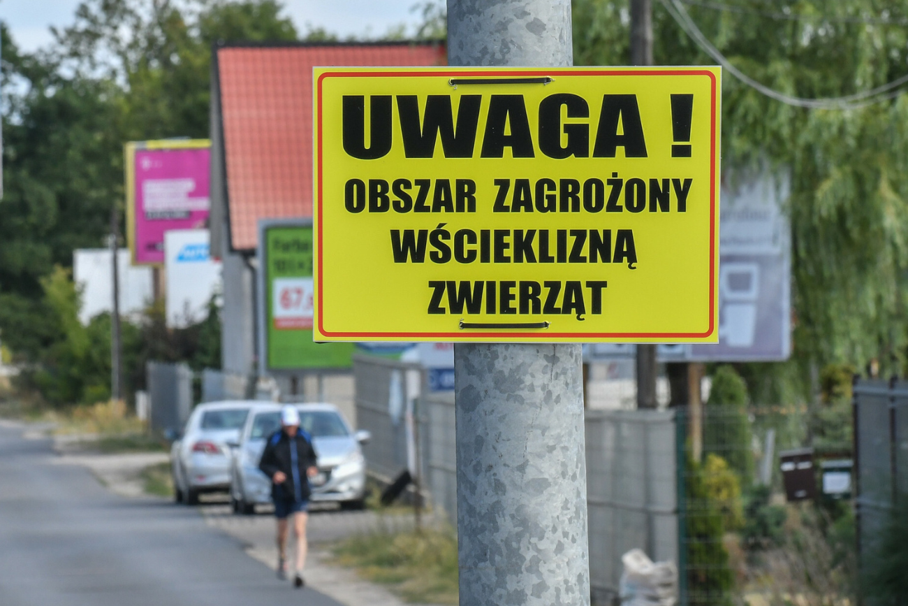 Uwaga! Wścieklizna zwierząt Tabliczka: Uwaga! Obszar zagrożony wścieklizną zwierząt!