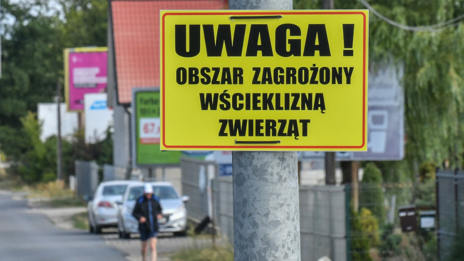 Tabliczka: Uwaga! Obszar zagrożony wścieklizną zwierząt!