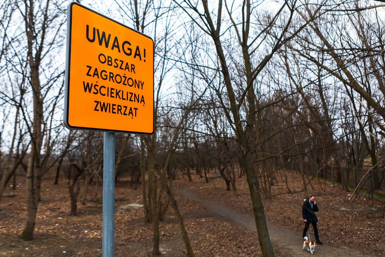 Warszawa została uznana za obszar zagrożenia wścieklizną.