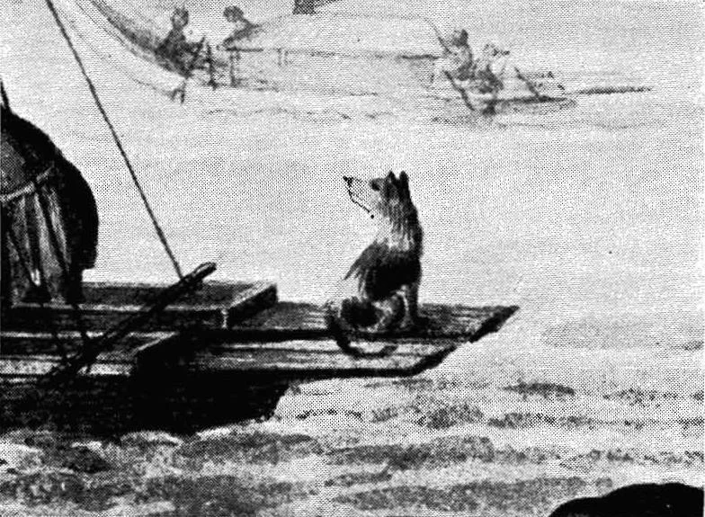 Tahitian Dog Tahitian Dog