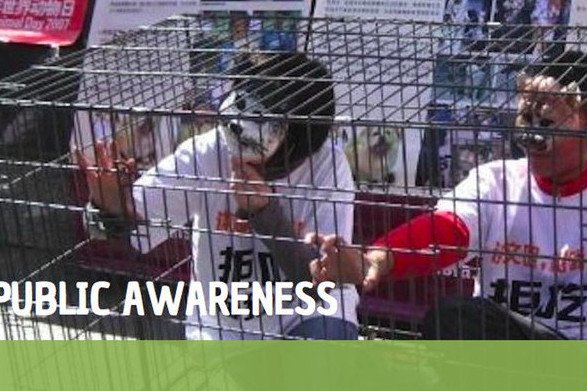 Chińczycy również protestują przeciw spożywaniu psiny i kociny.