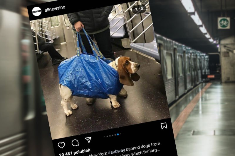 Kreatywność mieszkańców Nowego Jorku nie ma końca