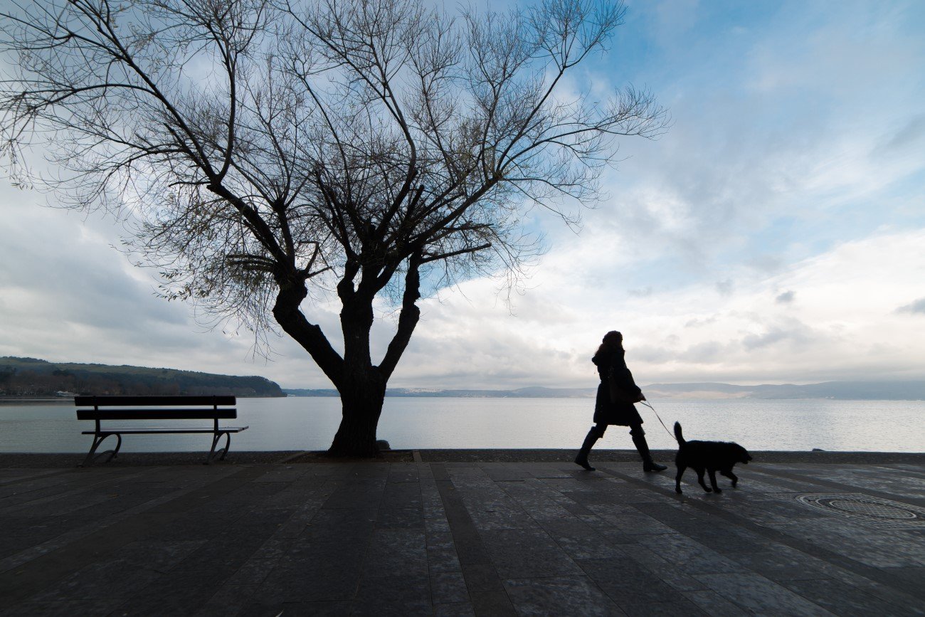 Zdjęcie ilustracyjne