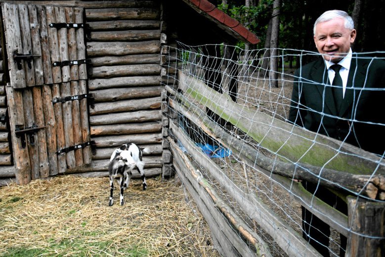 Projekt ustawy o ochronie zwierząt musiał paść pod naporem politycznej kalkulacji i kampanii wyborczej.