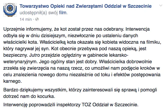 Wystarczyło kilka godzin, by internauci odnaleźli kobietę znęcającą się nad kotem. Mruczek jest już bezpieczny.