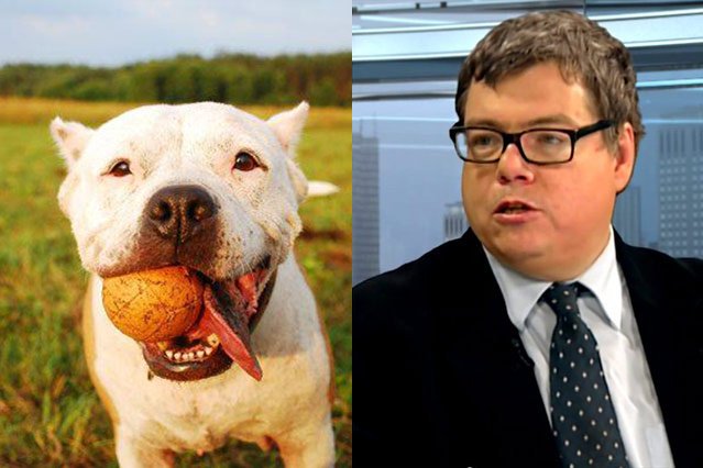 Dominik Zdort utrwala tabloidowy mit, że w większości psów tkwi morderca.