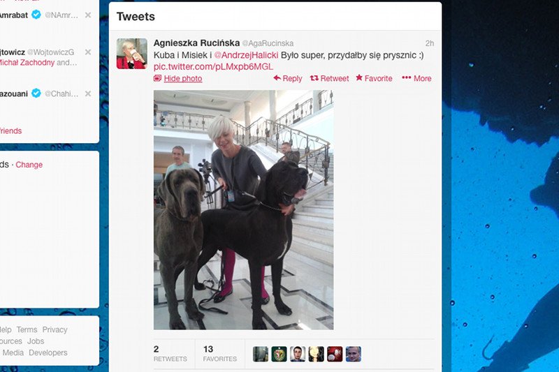 Agnieszka Rucińska z Polskiego Radia IAR z psami posła Halickiego