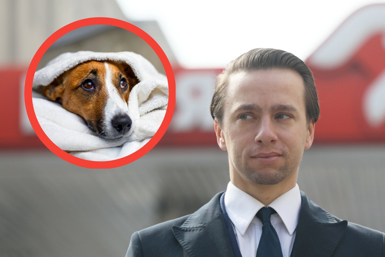 W trakcie najbliższej kadencji rozstrzygną się też losy zwierząt