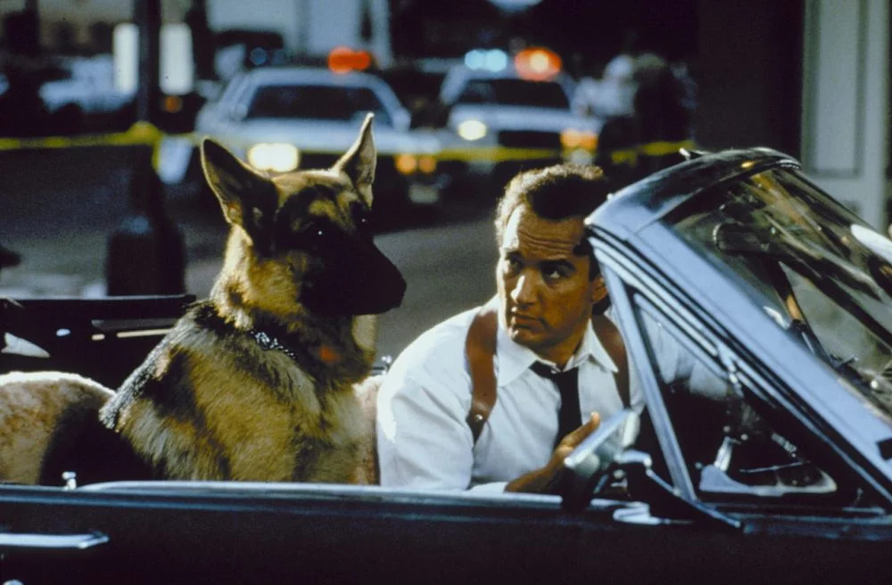 Kadr z filmu "K-9" (1989)